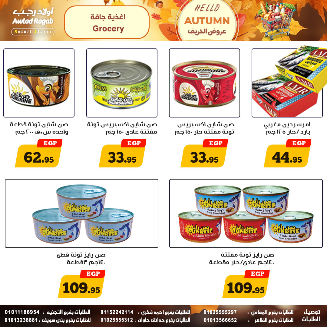 ragab-sons offers from 23oct to 1oct 2025 عروض أولاد رجب من 23 أكتوبر حتى 1 أكتوبر 2025 صفحة رقم 15